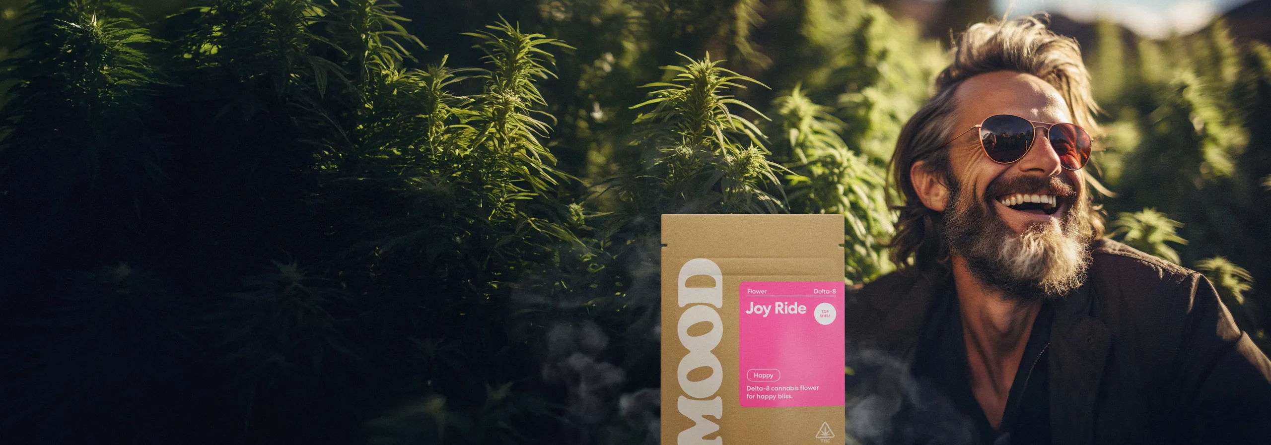 Elevate Your Vibe with Mood